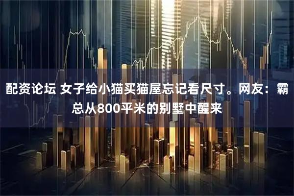 配资论坛 女子给小猫买猫屋忘记看尺寸。网友：霸总从800平米的别墅中醒来